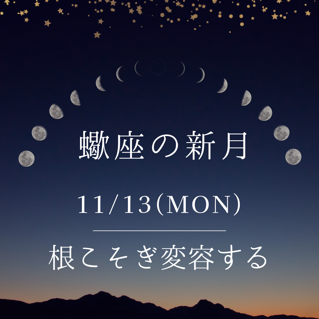 新月ヨガ.11/13【根こそぎ変容する蠍座新月】
